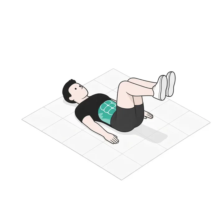 Reverse Crunch: Animation einer Wiederholung, beanspruchte Muskeln hervorgehoben