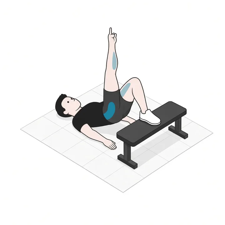 Glute bridge op één been met voet verhoogd: animatie van één herhaling, met de werkende spieren gemarkeerd