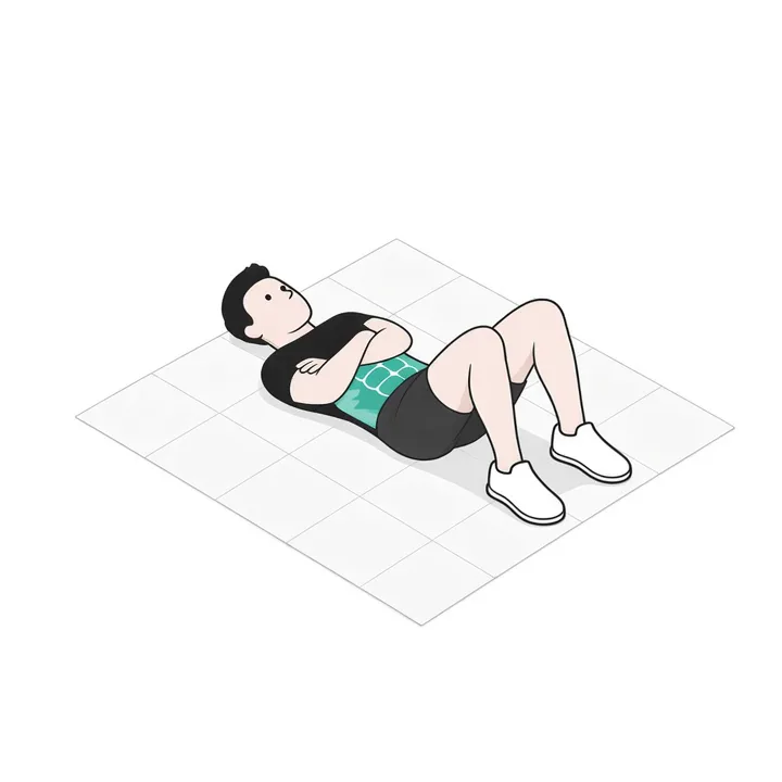 Sit-up: Animation einer Wiederholung, beanspruchte Muskeln hervorgehoben