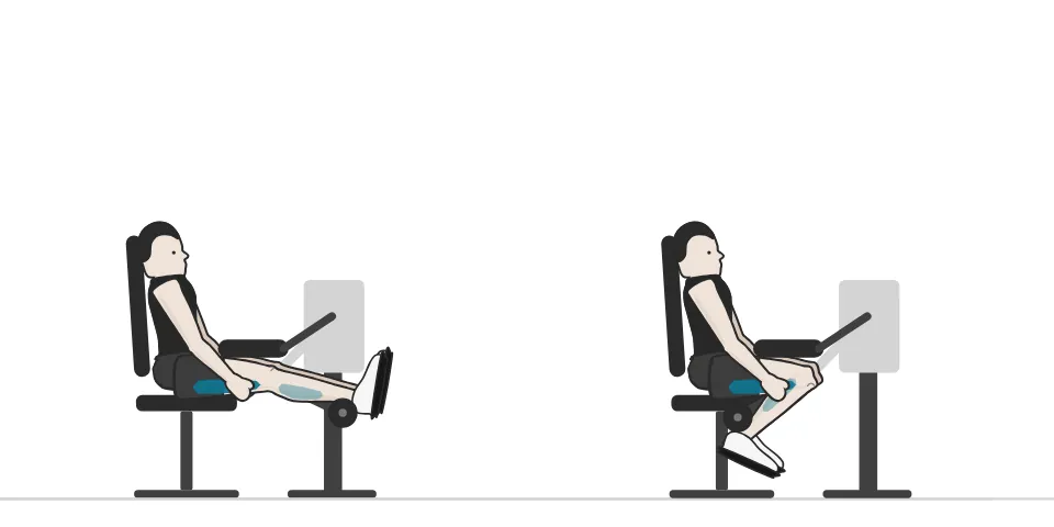 Curl femoral sentado: ilustración de la posición inicial y final, con los músculos implicados resaltados